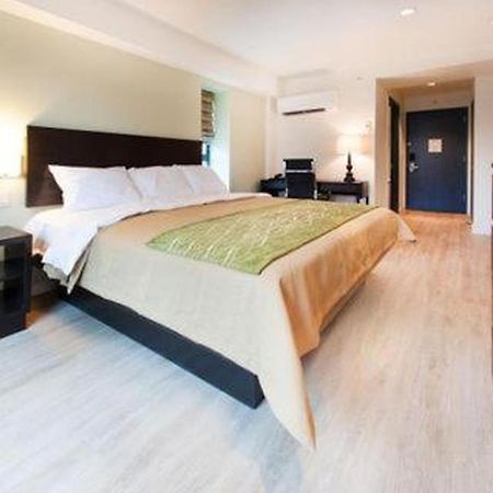 Comfort Inn & Suites - Kew Gardens Near La Guardia Airport Ню Йорк Екстериор снимка