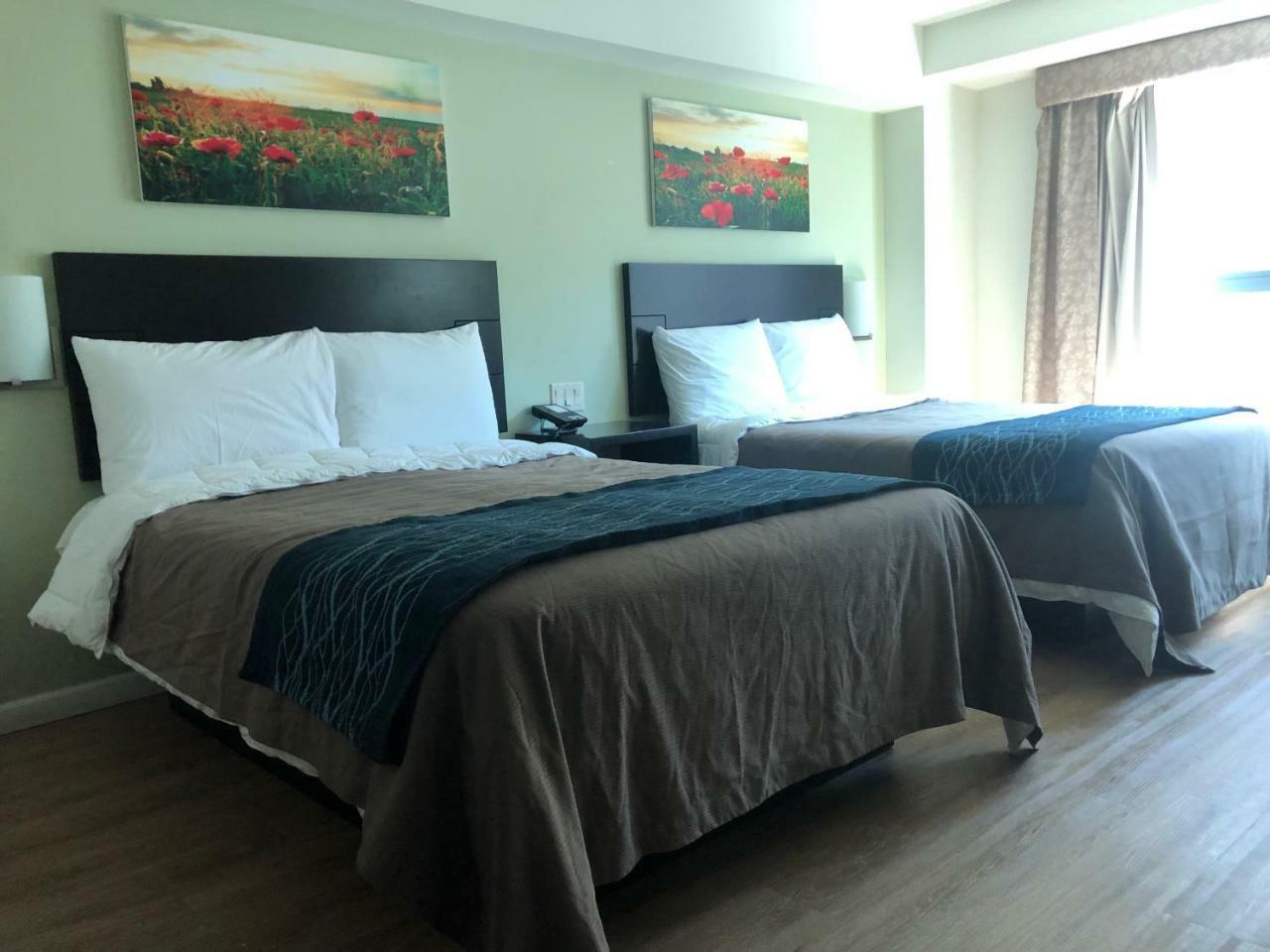 Comfort Inn & Suites - Kew Gardens Near La Guardia Airport Ню Йорк Екстериор снимка