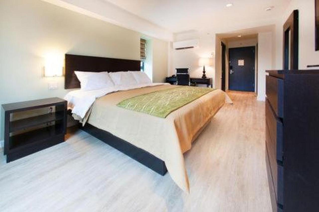 Comfort Inn & Suites - Kew Gardens Near La Guardia Airport Ню Йорк Екстериор снимка